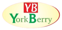 cropped-Yorkberry_Logo-removebg-preview.png